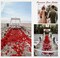 1000Pieces Artificial Flower Petals Fake Rose Petals Silk Red Rose Petals for Romantic Night